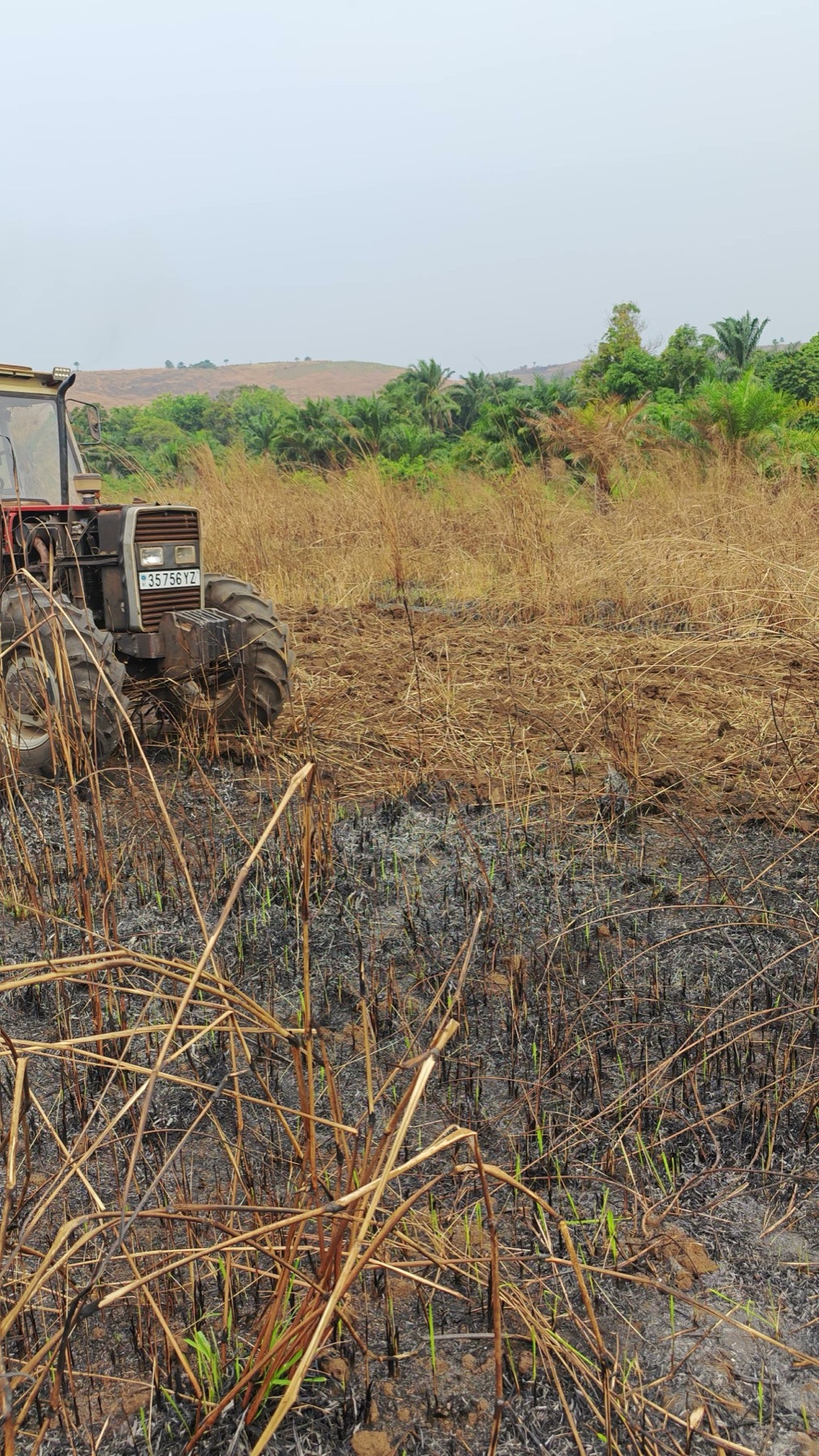 Tracteur dans champ après brûlage